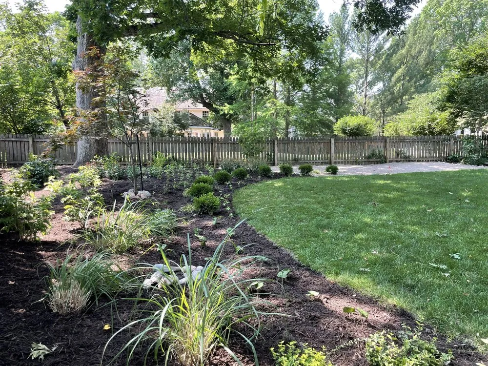 Professional yard cleanup service in Lenexa, KS by Nelson Landscapes