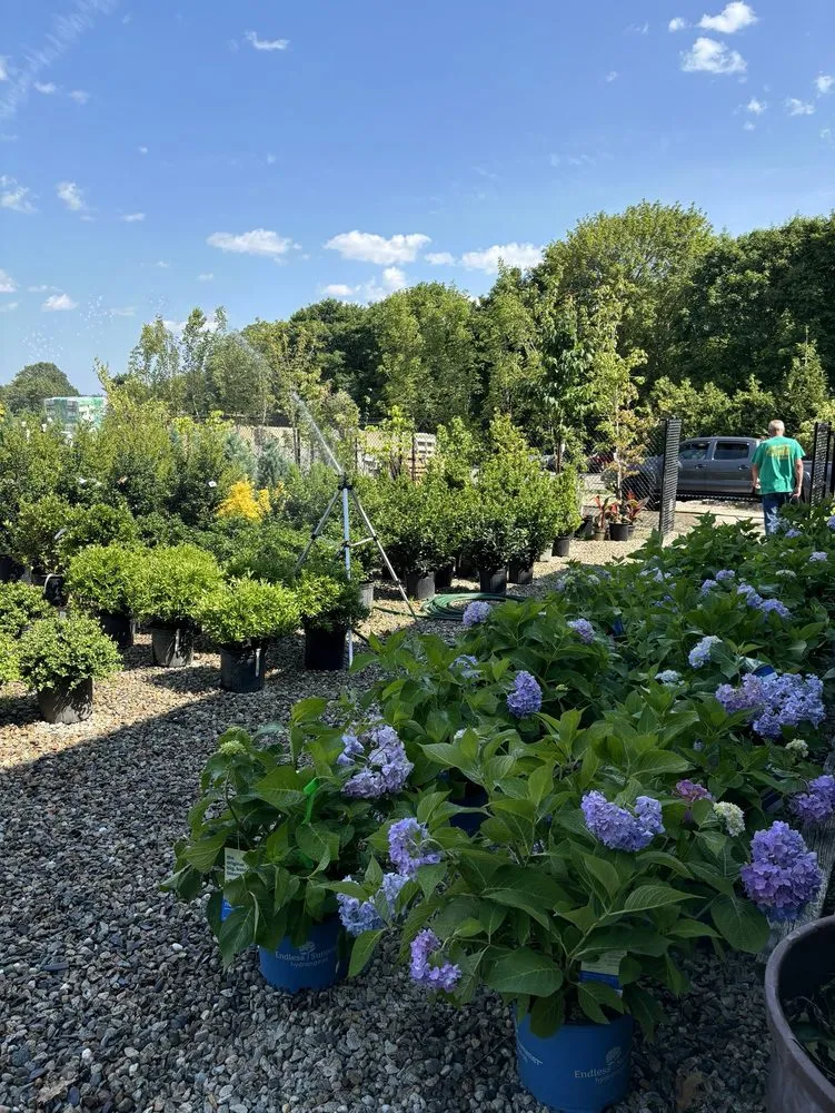 Local yard cleanup service experts serving Randolph, MA - Nelson Landscaping & Garden Center