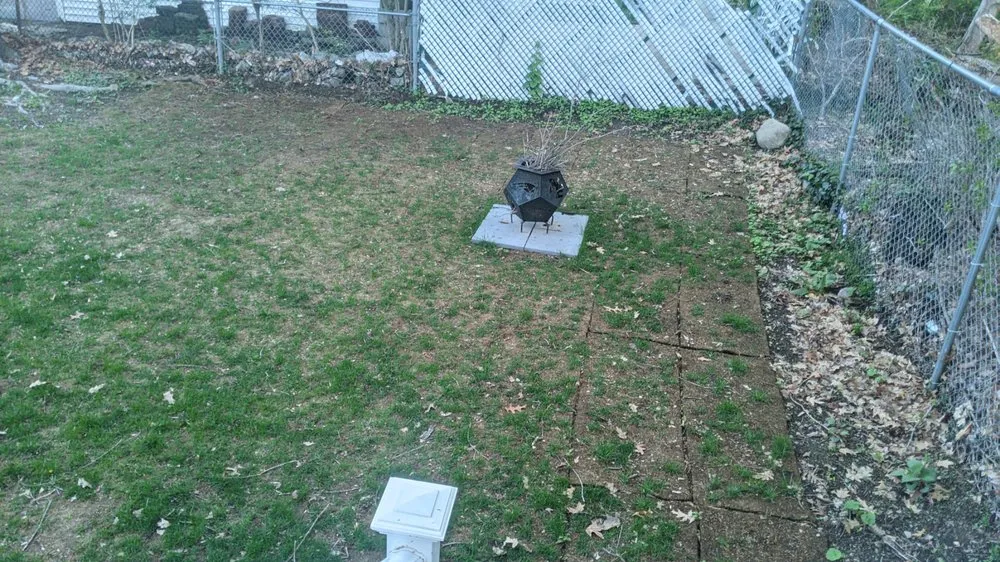 Trusted yard cleanup service in Randolph, MA - Nelson Landscaping & Garden Center