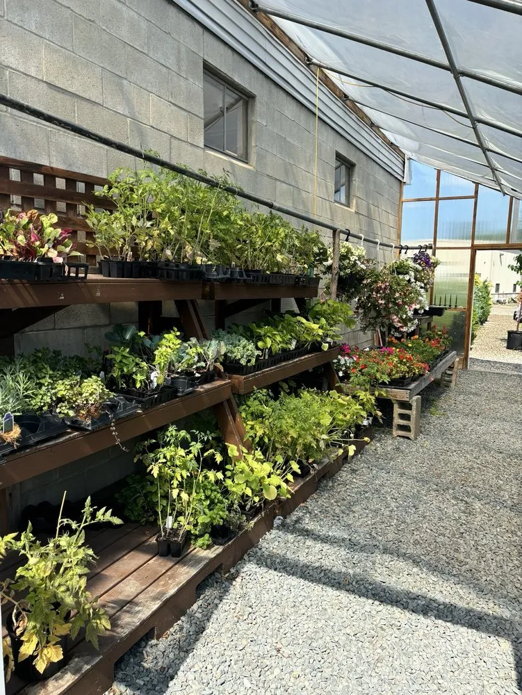 Trusted lawn care service with custom design across Randolph, MA - Nelson Landscaping & Garden Center