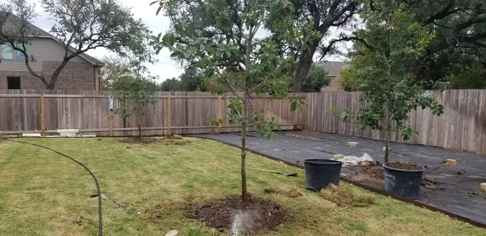 Trusted lawn care service with custom design across Boerne, TX - Nelson Landscaping & Irrigation System