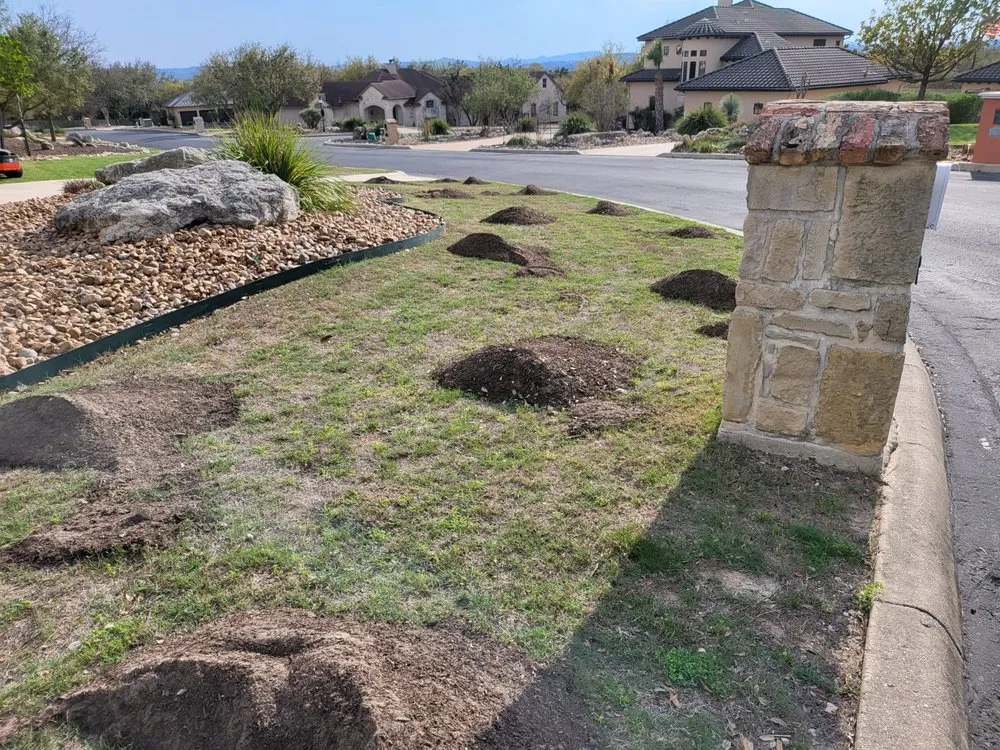 Expert yard maintenance in Boerne, TX by Nelson Landscaping & Irrigation System