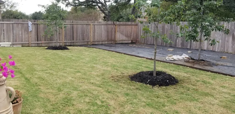 Affordable yard cleanup service in Boerne, TX by Nelson Landscaping & Irrigation System