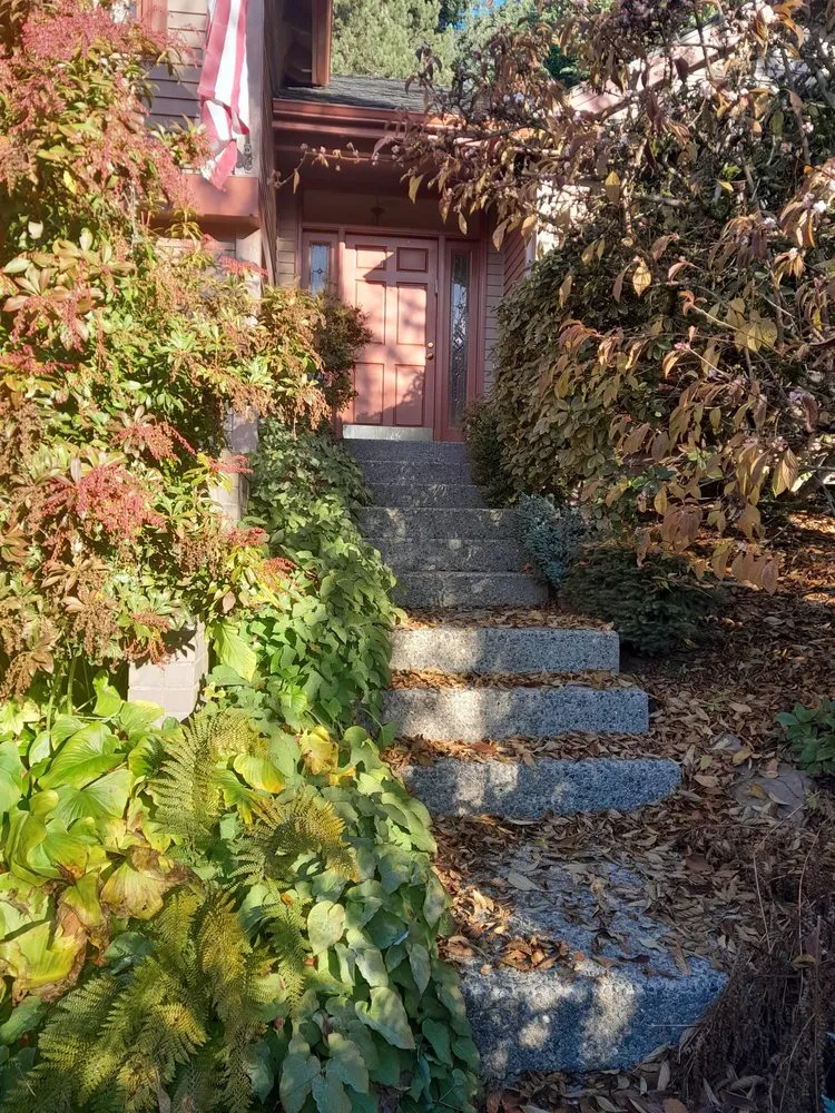 Trusted landscape design for outdoor upgrades across Bellevue, WA - Nelson Landscaping