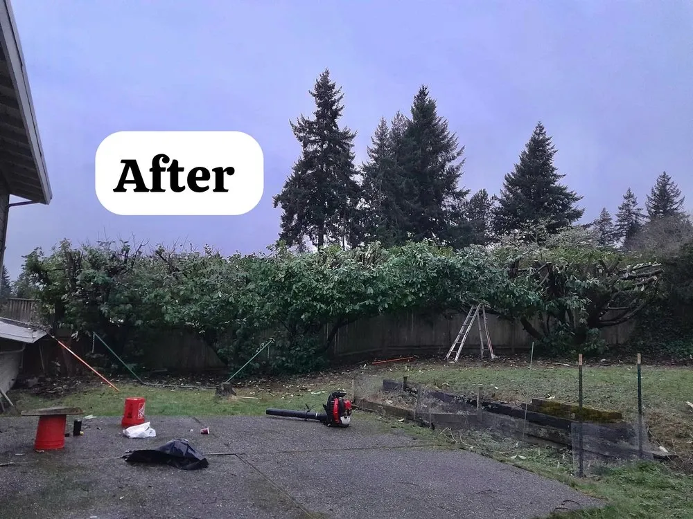 Expert landscape design in Bellevue, WA by Nelson Landscaping