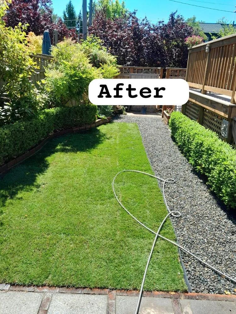 Affordable residential landscaping for residential properties across Bellevue, WA - Nelson Landscaping