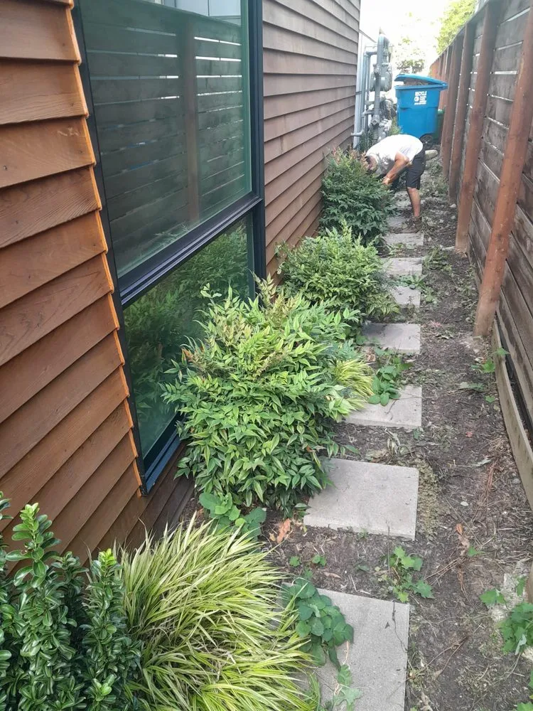 Custom landscaping services experts serving Bellevue, WA - Nelson Landscaping