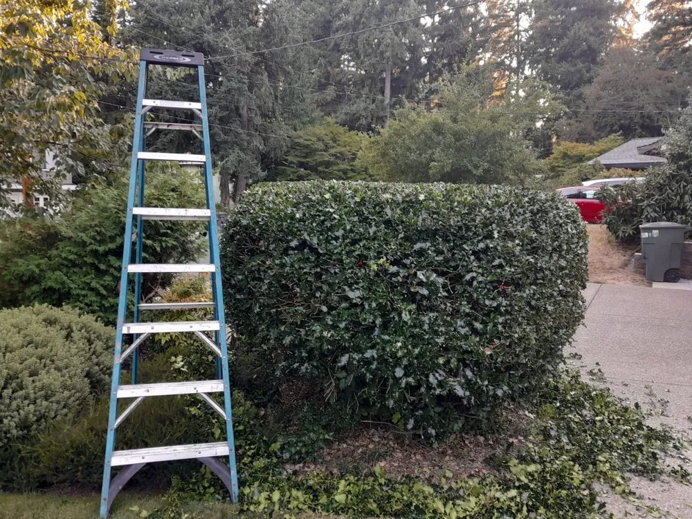 Professional landscape installation in Bellevue, WA - Nelson Landscaping