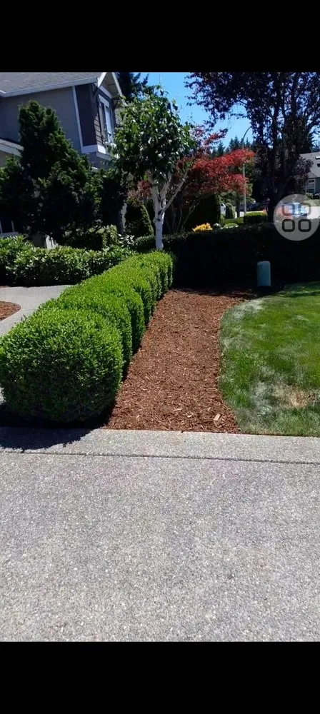 Local residential landscaping in Bellevue, WA - Nelson Landscaping