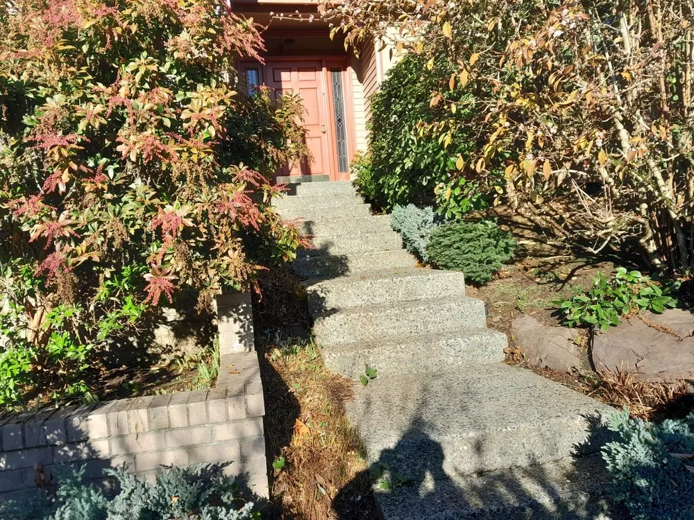 Trusted garden landscaping in Bellevue, WA by Nelson Landscaping