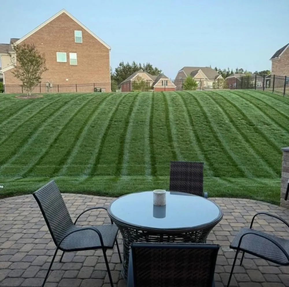 Reliable outdoor landscaping for year-round maintenance across Bellevue, WA - Nelson Landscaping