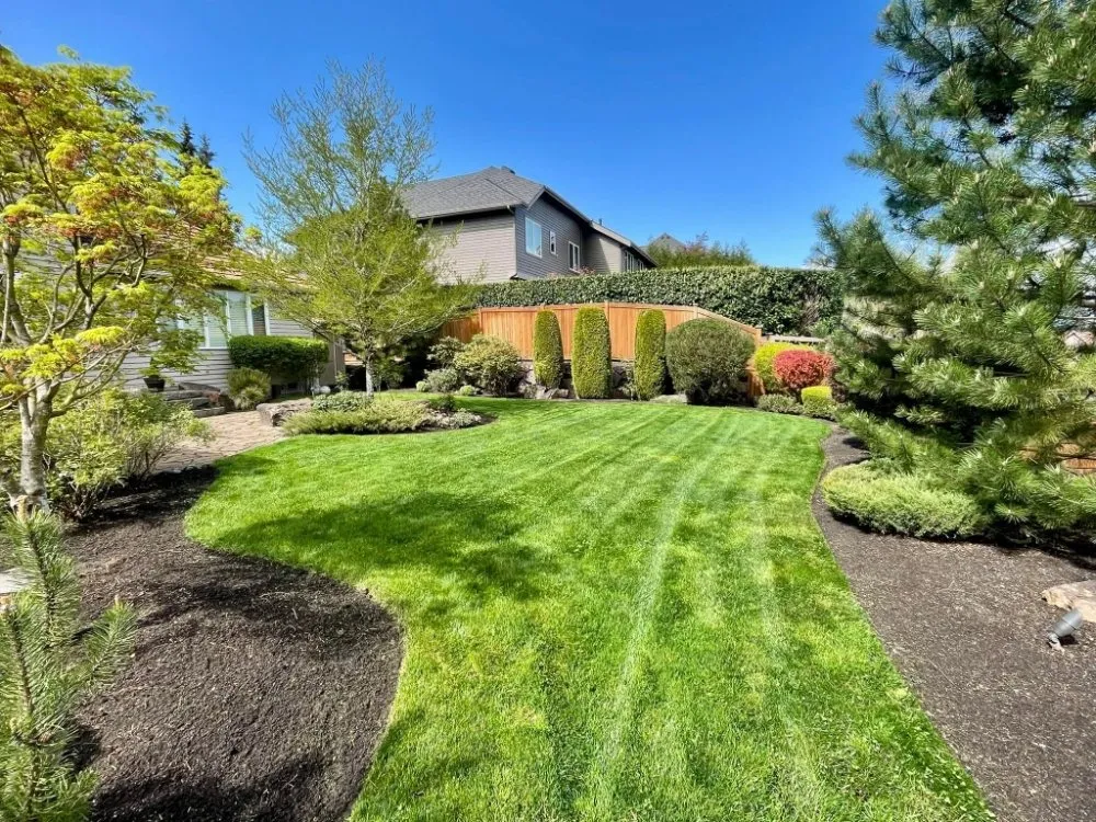Reliable lawn care service in Bellevue, WA by Nelson Landscaping
