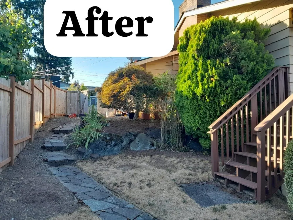 Top-rated lawn care service for homes across Bellevue, WA - Nelson Landscaping