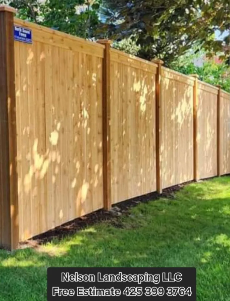 Affordable landscaping services for outdoor upgrades across Bellevue, WA - Nelson Landscaping