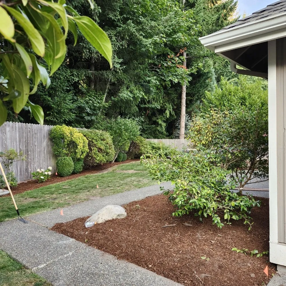 Expert yard cleanup service with custom design in Bellevue, WA by Nelson Landscaping