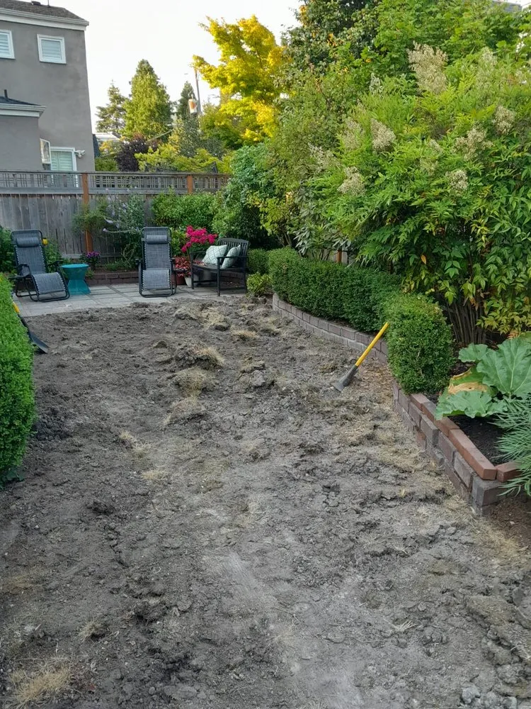 Custom landscape installation for year-round maintenance in Bellevue, WA by Nelson Landscaping