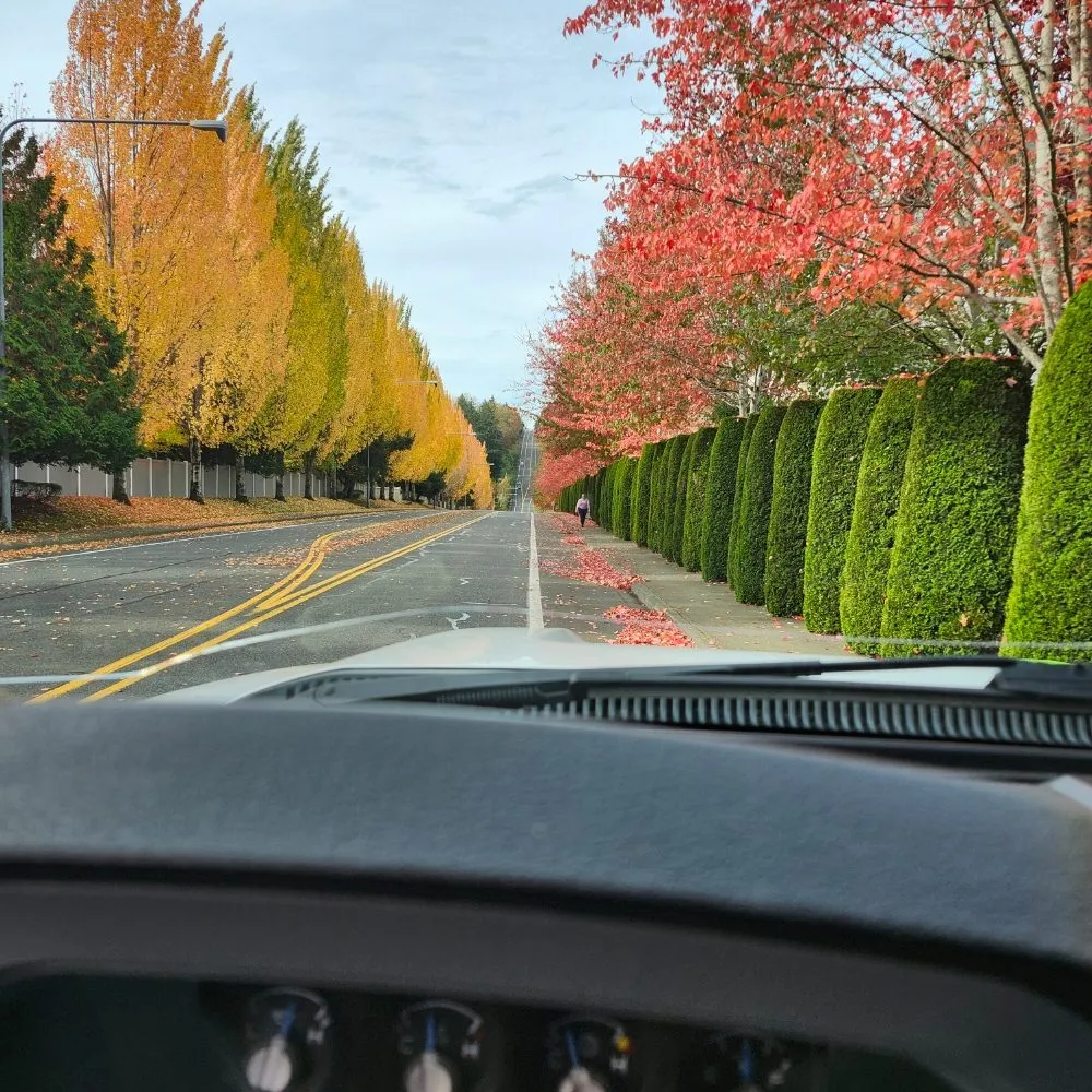 Professional outdoor landscaping in Bellevue, WA by Nelson Landscaping