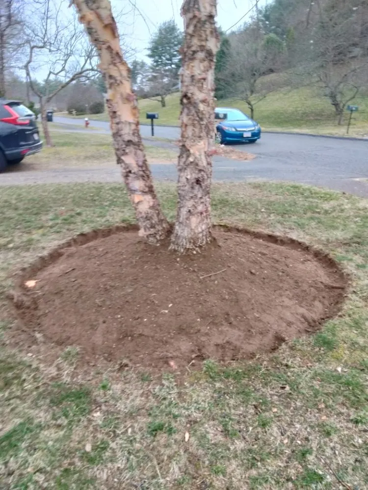 Top-rated residential landscaping with custom design in Hatfield, MA by Nelson Landscaping