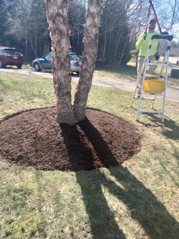 Local lawn mowing service in Hatfield, MA - Nelson Landscaping