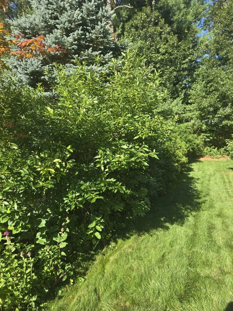 Custom landscaping services experts serving Hatfield, MA - Nelson Landscaping