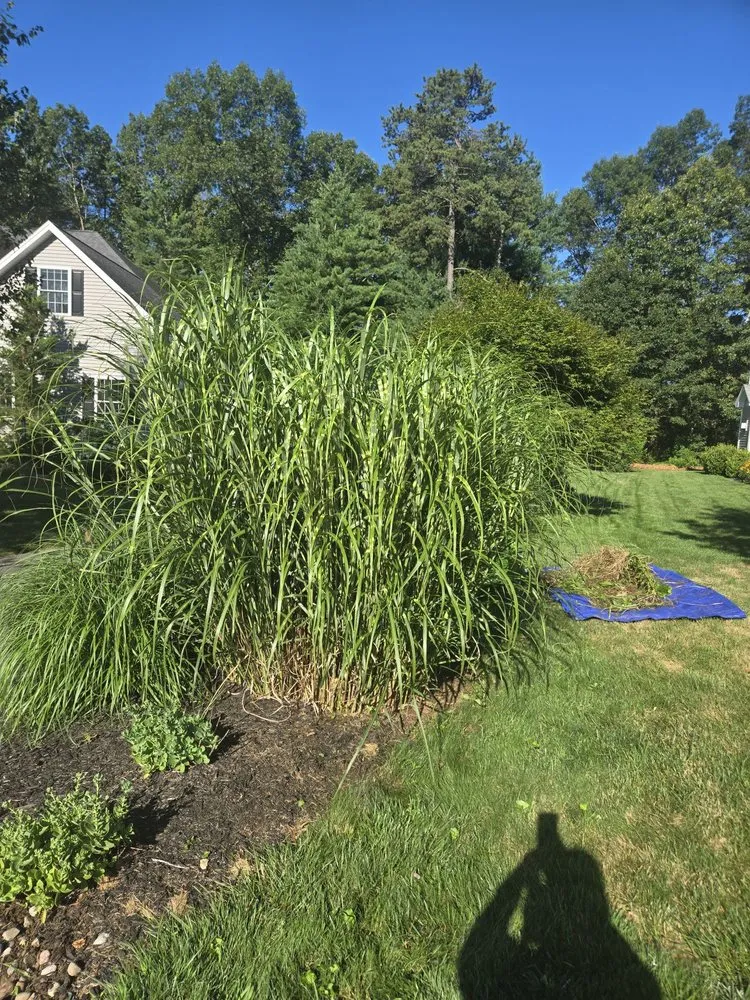 Custom lawn care service in Hatfield, MA - Nelson Landscaping