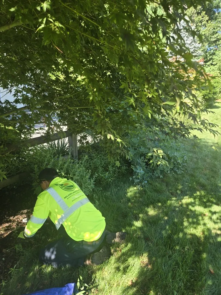 Affordable landscape installation in Hatfield, MA by Nelson Landscaping