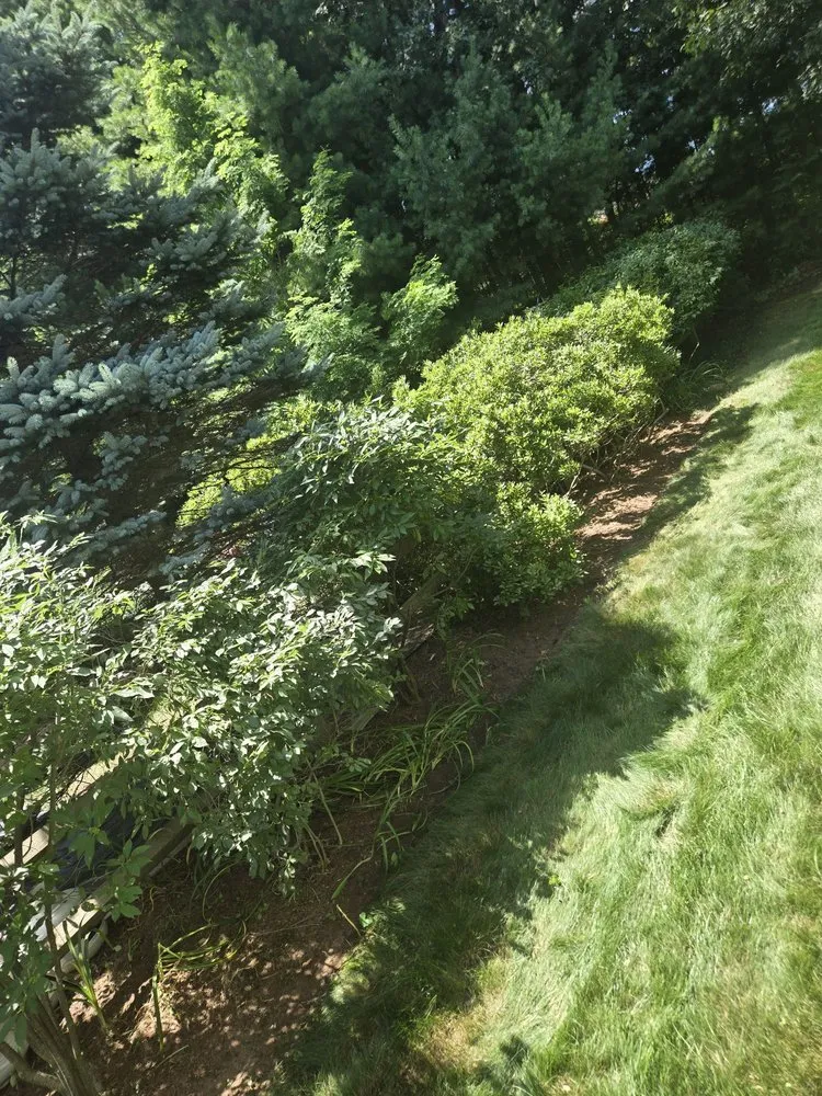 Affordable lawn mowing service experts serving Hatfield, MA - Nelson Landscaping