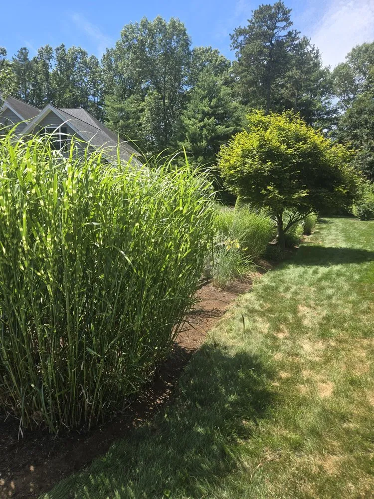 Top-rated landscape installation for homes across Hatfield, MA - Nelson Landscaping