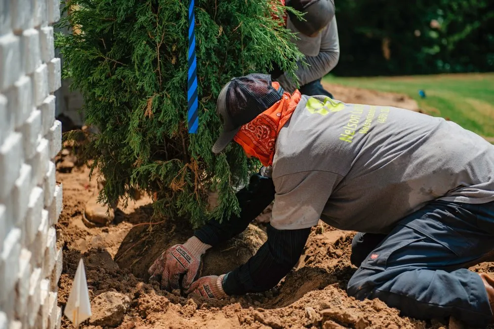 Trusted landscape installation for year-round maintenance across Oklahoma City, OK - Nelson Landscaping