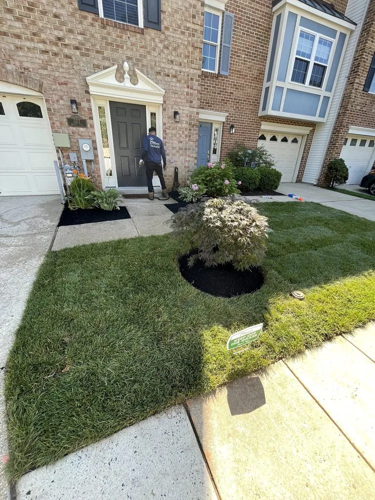 Trusted yard cleanup service in Annapolis, MD by Nelson Landscaping Stone & Patios