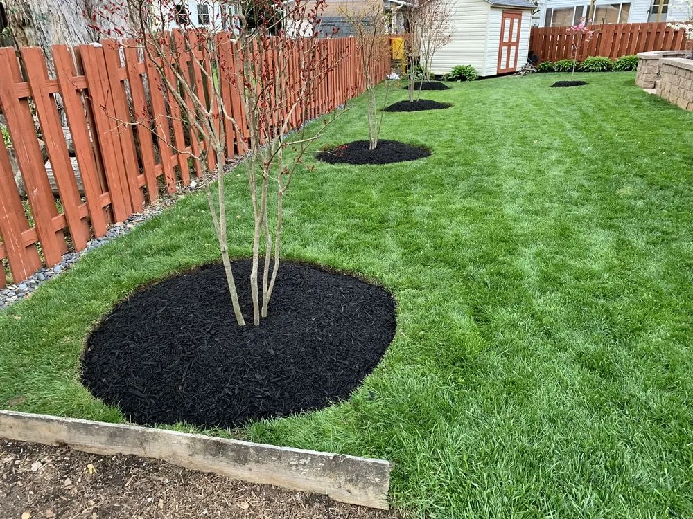 Reliable lawn care service in Annapolis, MD by Nelson Landscaping Stone & Patios