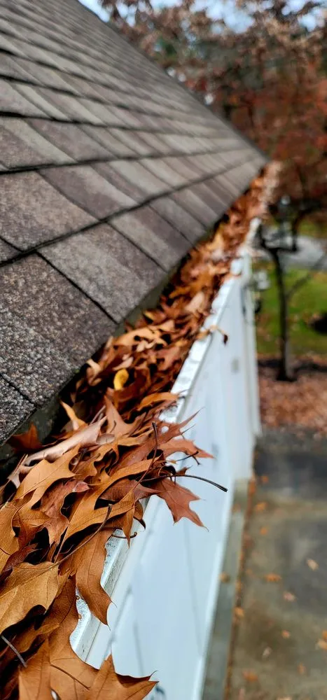 Trusted yard cleanup service in Manchester, NH - Nelson Lawn & Home Services