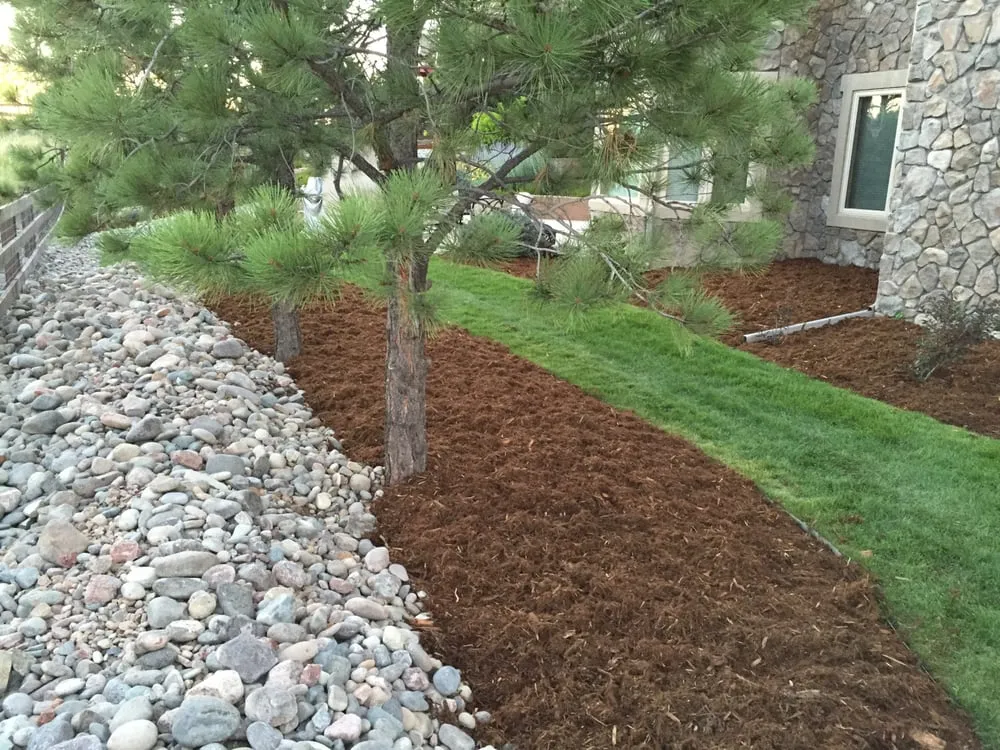 Local lawn mowing service in Castle Rock, CO - Nelson Lawn and Landscape