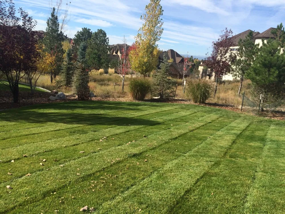 Expert residential landscaping for homes in Castle Rock, CO by Nelson Lawn and Landscape
