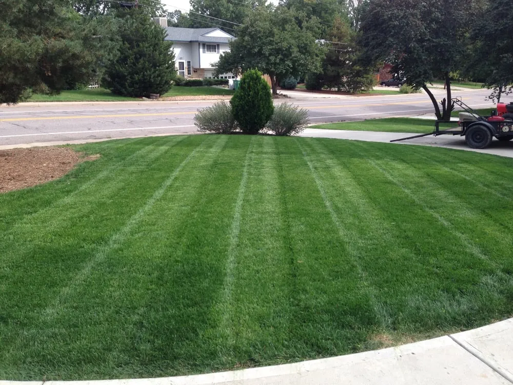 Expert yard cleanup service experts serving Castle Rock, CO - Nelson Lawn and Landscape