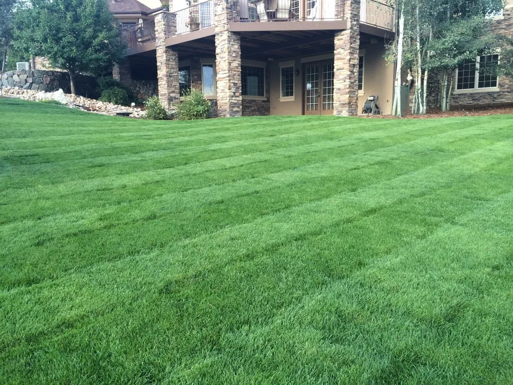 Affordable landscape installation experts serving Castle Rock, CO - Nelson Lawn and Landscape