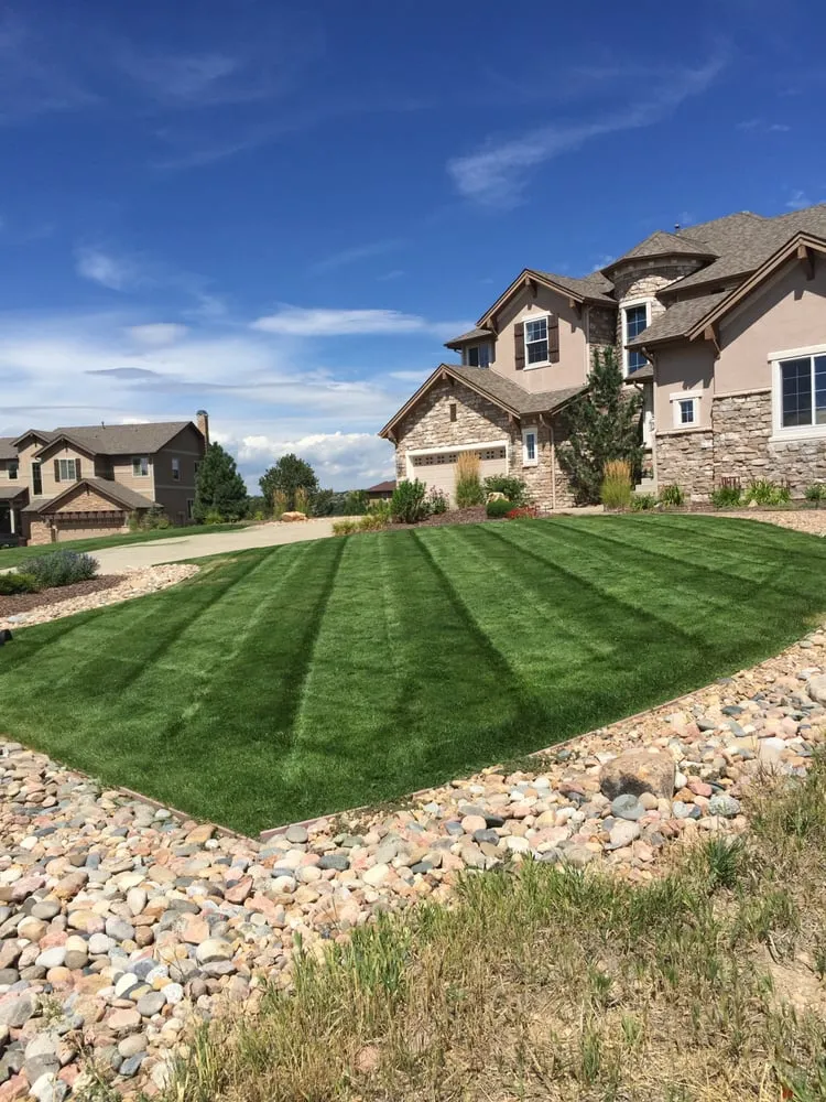 Reliable lawn care service for year-round maintenance in Castle Rock, CO by Nelson Lawn and Landscape