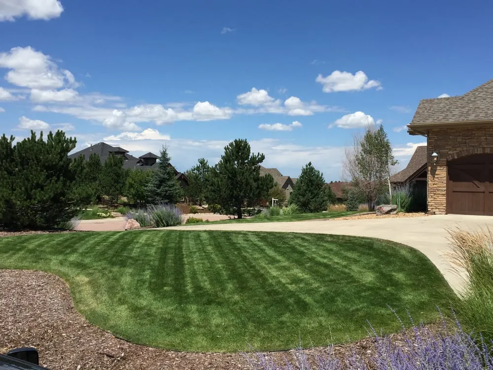 Expert landscape design in Castle Rock, CO - Nelson Lawn and Landscape