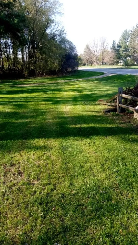 Affordable landscape installation in Ithaca, MI by Nelson Lawn Care and More