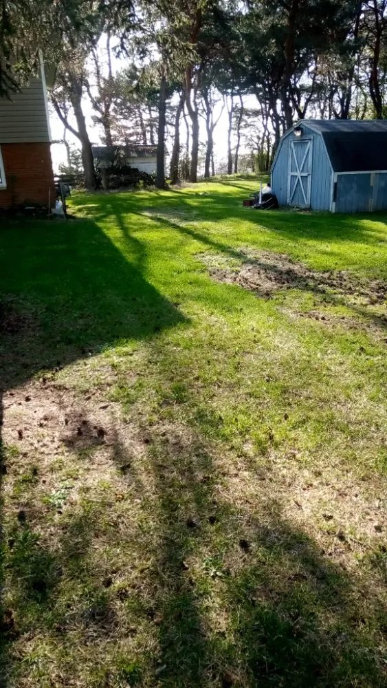 Affordable landscaping services for beautiful yards across Ithaca, MI - Nelson Lawn Care and More