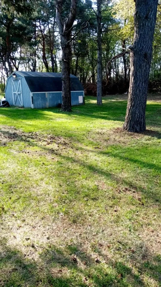 Expert landscape installation in Ithaca, MI - Nelson Lawn Care and More