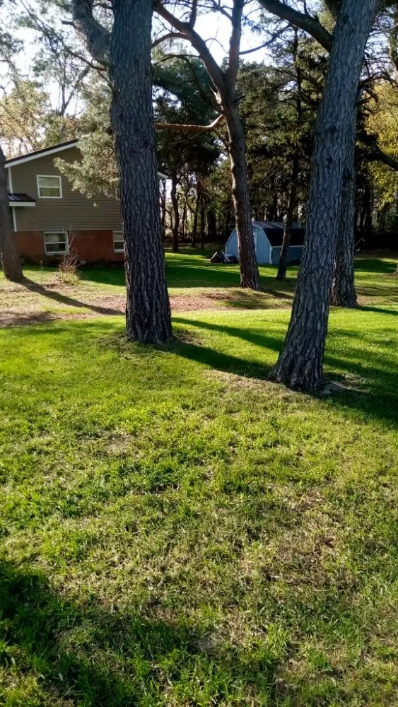 Reliable landscape installation for homes across Ithaca, MI - Nelson Lawn Care and More