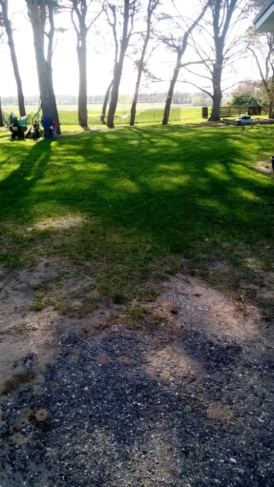 Local yard cleanup service in Ithaca, MI by Nelson Lawn Care and More