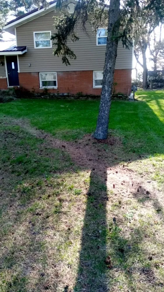 Reliable outdoor landscaping in Ithaca, MI - Nelson Lawn Care and More