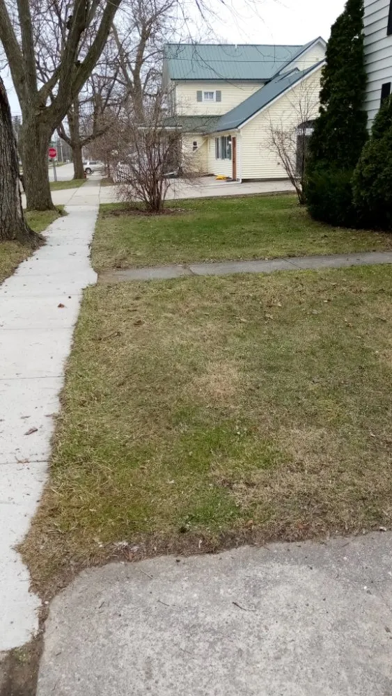 Expert yard cleanup service for homes across Ithaca, MI - Nelson Lawn Care and More