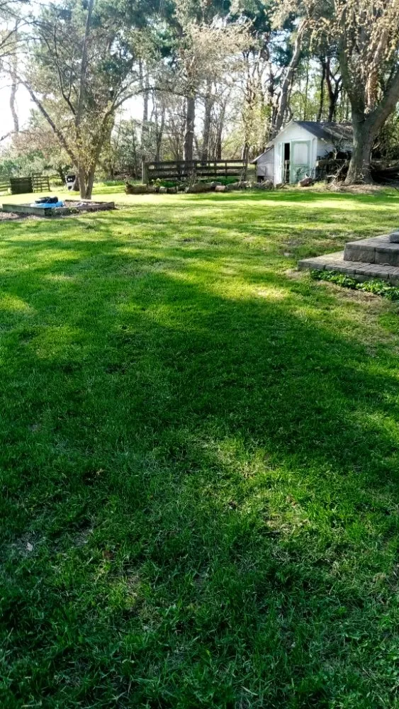 Affordable yard cleanup service experts serving Ithaca, MI - Nelson Lawn Care and More