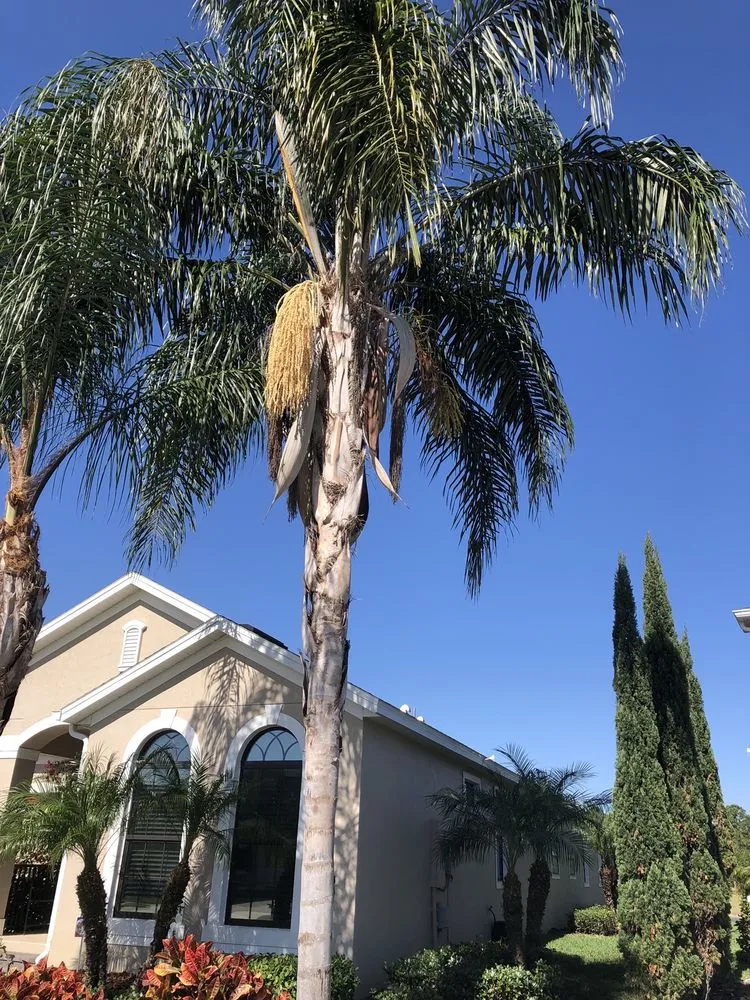 Custom landscape installation for homes across Cocoa, FL - Nelson Lawn Care