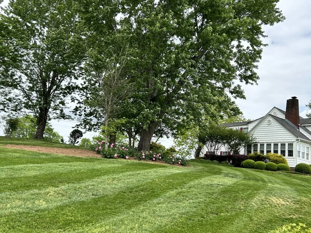 Local lawn care service for outdoor upgrades in Summerville, GA by Nelson Lawn Care Services