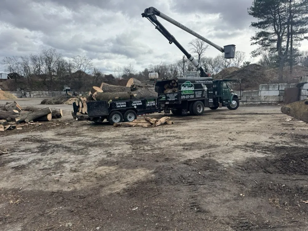 Local landscaping services experts serving Burlignton, MA - Nelson's Hardscape & Tree Service