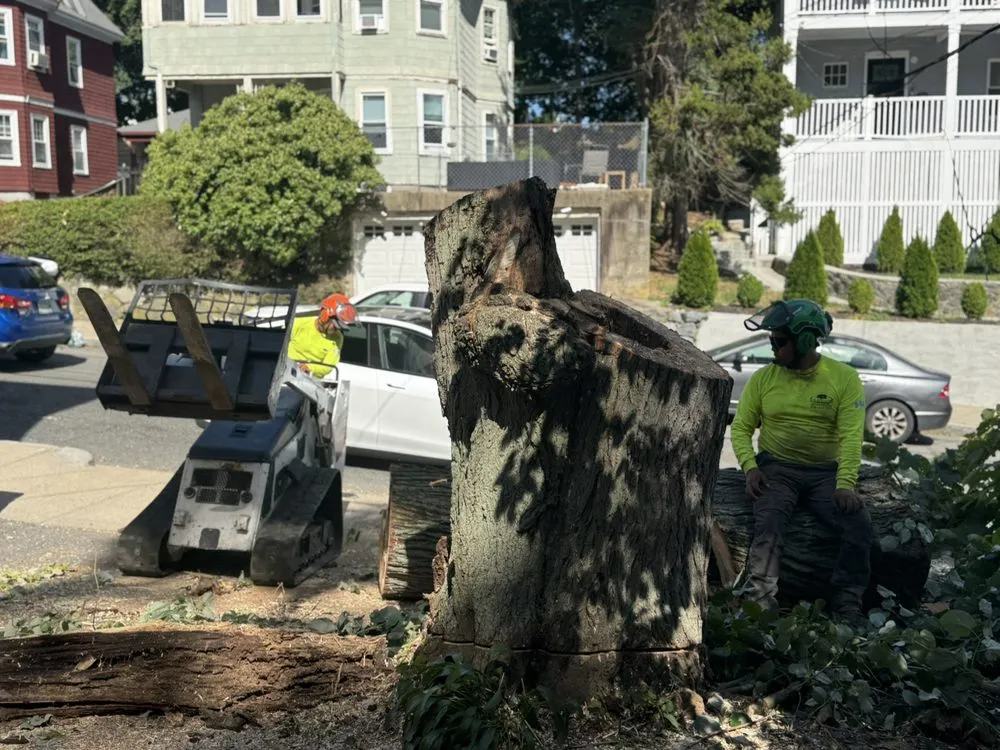 Trusted outdoor landscaping in Burlignton, MA - Nelson's Hardscape & Tree Service